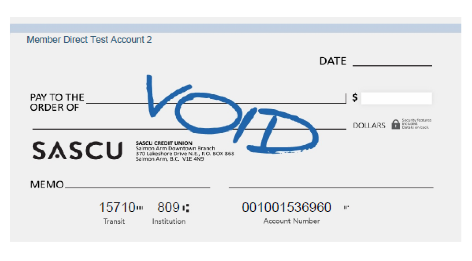 Void Cheque Example